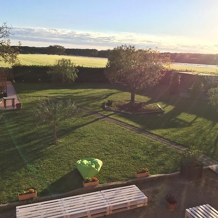 فندق تاركوينيافي  Agriturismo Spinicci المظهر الخارجي الصورة