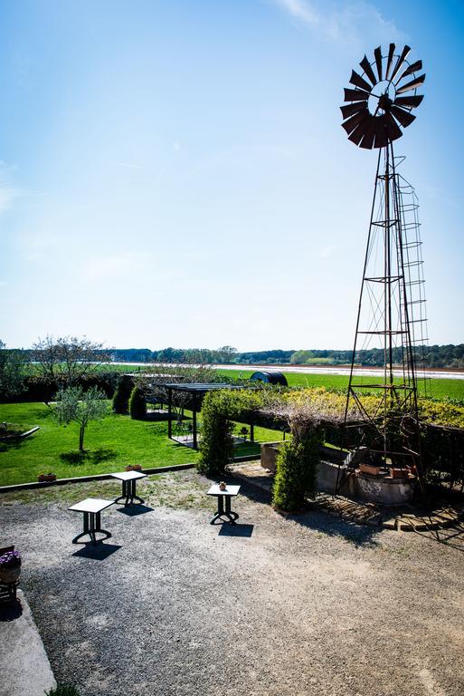 فندق تاركوينيافي  Agriturismo Spinicci المظهر الخارجي الصورة
